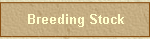 Breeding Stock