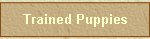 Trained Puppies